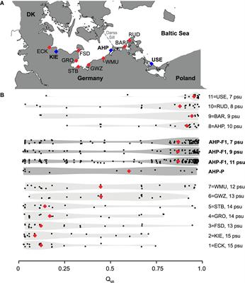 Salinity Driven Selection and Local Adaptation in Baltic Sea Mytilid Mussels